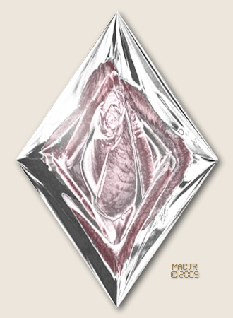 A Diamond Rose for Tammy-Vicky