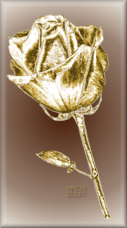 A Gold Birthday Rose for Tammy-Vicky