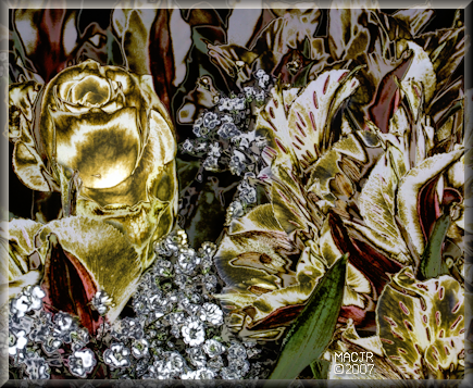 A Diamond Rose for Tammy-Vicky